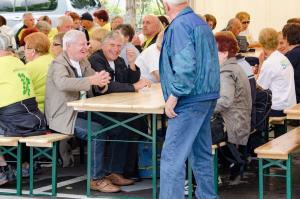 Srečanje Šempetrov 2016 (12)